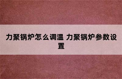 力聚锅炉怎么调温 力聚锅炉参数设置